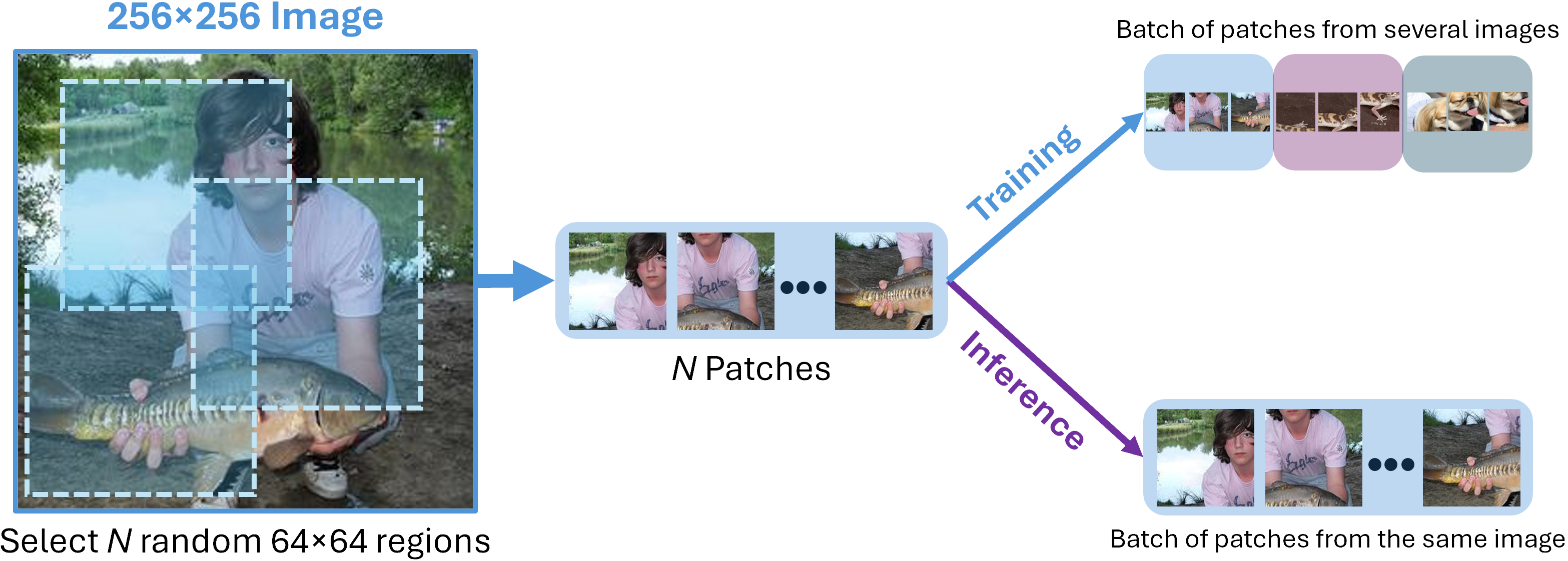 description of what image is showing.
