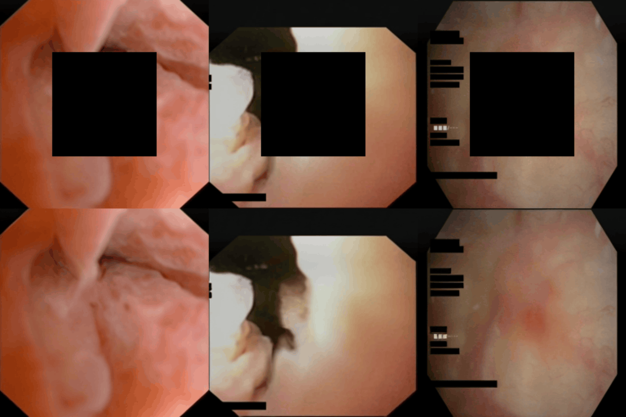 Inpainting results reconstructing masked regions.